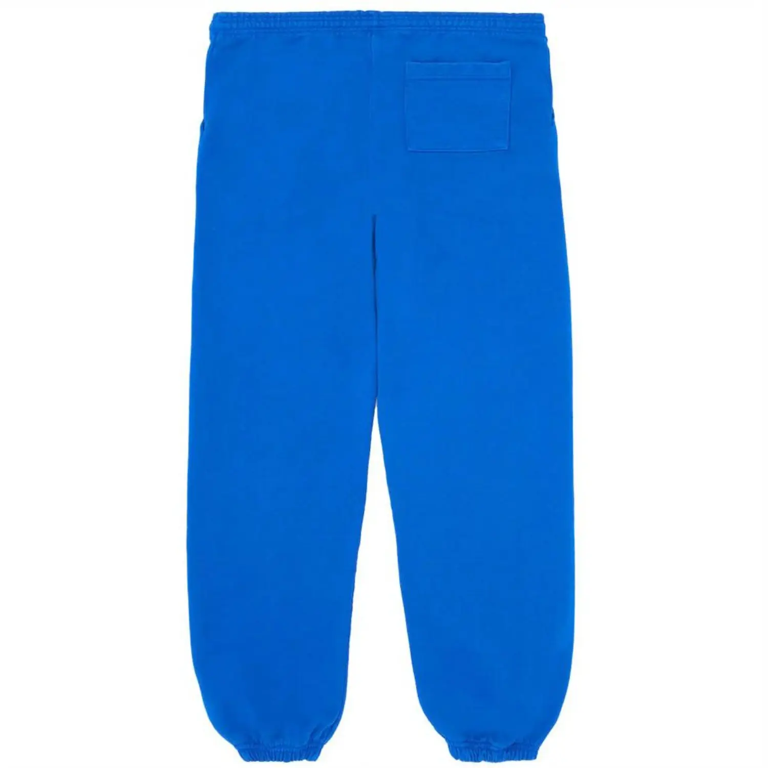 Sp5der Sweatpants TC Blue back